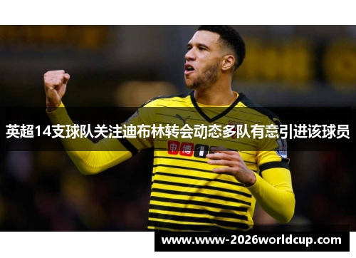 英超14支球队关注迪布林转会动态多队有意引进该球员
